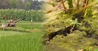 ডিজেল সংকটে বিপাকে ধামরাইয়ের কৃষক, ব্যাহত সেচ